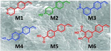 Evaluation of 4-substituted styrenes as functional monomers for the synthesis of theophylline-specific molecularly imprinted polymers