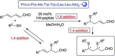 Graphical abstract: Peptide-catalyzed consecutive 1,6- and 1,4-additions of thiols to α,β,γ,δ-unsaturated aldehydes