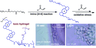 Polyamine modification by acrolein exclusively produces 1,5-diazacyclooctanes: a previously unrecognized mechanism for acrolein-mediated oxidative stress