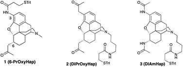 Synthesis and immunological effects of heroin vaccines