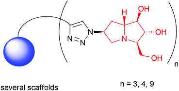 6-Azido hyacinthacine A2 gives a straightforward access to the first multivalent pyrrolizidine architectures