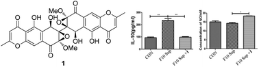 Diaporine, a novel endophyte-derived regulator of macrophage differentiation