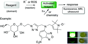 New reagents for detecting free radicals and oxidative stress