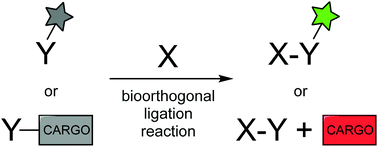 bioorthogonal smart probes