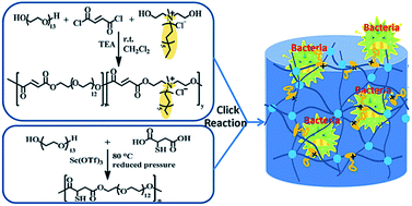 Graphical abstract: Fully biodegradable antibacterial hydrogels via thiol–ene “click” chemistry