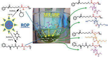 Graphical abstract: Establishing α-bromo-γ-butyrolactone as a platform for synthesis of functional aliphatic polyesters – bridging the gap between ROP and SET-LRP