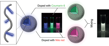 Graphical abstract: White light emission of multi-chromophore photoluminescent nanoparticles using polyacrylate scaffold copolymers with pendent polyfluorene groups