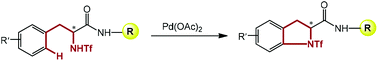 Graphical abstract: Direct amidation of the phenylalanine moiety in short peptides via Pd-catalyzed C–H activation/C–N formation