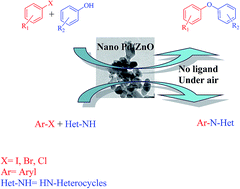 Graphical abstract: Highly active recyclable heterogeneous Pd/ZnO nanoparticle catalyst: sustainable developments for the C–O and C–N bond cross-coupling reactions of aryl halides under ligand-free conditions