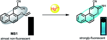 Graphical abstract: A facile naphthalene-based fluorescent chemodosimeter for mercury ions in aqueous solution