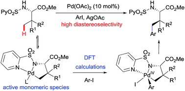 Graphical abstract: Experimental and computational studies on the mechanism of the Pd-catalyzed C(sp3)–H γ-arylation of amino acid derivatives assisted by the 2-pyridylsulfonyl group