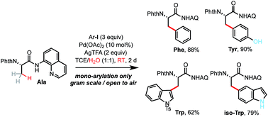 Graphical abstract: Palladium-catalyzed trifluoroacetate-promoted mono-arylation of the β-methyl group of alanine at room temperature: synthesis of β-arylated α-amino acids through sequential C–H functionalization