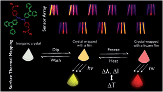 Graphical abstract: 3D cross-correlative matrix temperature detection and non-invasive thermal mapping based on a molecular probe