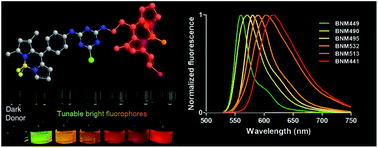 Graphical abstract: Dark to light! A new strategy for large Stokes shift dyes: coupling of a dark donor with tunable high quantum yield acceptors
