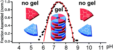 Graphical abstract: Ultra-sensitive pH control of supramolecular polymers and hydrogels: pKa matching of biomimetic monomers