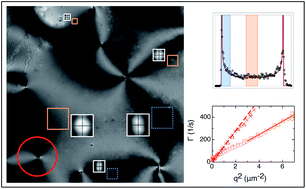 Graphical abstract: Viscoelasticity of nematic liquid crystals at a glance