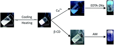 Graphical abstract: Hydrogels formed by enantioselective self-assembly of histidine-derived amphiphiles with tartaric acid