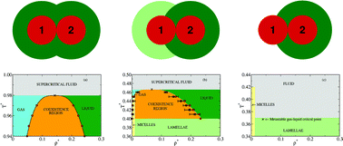 Graphical abstract: Phase separation and self-assembly of colloidal dimers with tunable attractive strength: from symmetrical square-wells to Janus dumbbells