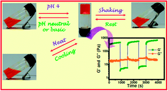 Graphical abstract: A thixotropic supramolecular hydrogel of adenine and riboflavin-5′-phosphate sodium salt showing enhanced fluorescence properties