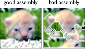 Graphical abstract: Growth of equilibrium structures built from a large number of distinct component types