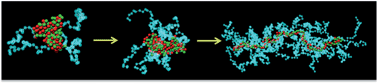 Graphical abstract: Branched–linear polyion complexes investigated by Monte Carlo simulations