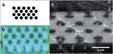 Graphical abstract: Tuning the surface properties of hydrogel at the nanoscale with focused ion irradiation