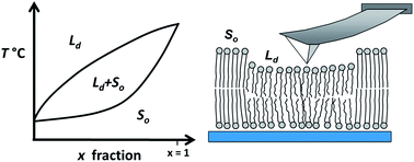 Hot paper: Lyophilised protein dynamics – Soft Matter Blog