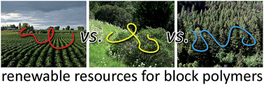 Graphical abstract: Biobased building blocks for the rational design of renewable block polymers