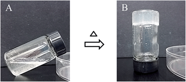 Graphical abstract: Thermal gelation of chitosan in an aqueous alkali–urea solution