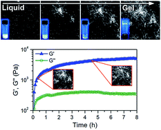 Graphical abstract: Evidence for equilibrium gels of valence-limited particles