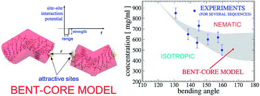 Graphical abstract: Self-assembly of mesogenic bent-core DNA nanoduplexes