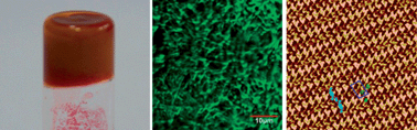 Graphical abstract: Hierarchical self-assembly of amino acid derivatives into stimuli-responsive luminescent gels