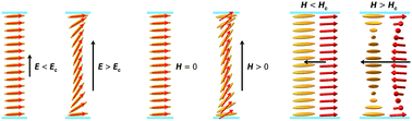 Graphical abstract: Magneto-optic and converse magnetoelectric effects in a ferromagnetic liquid crystal