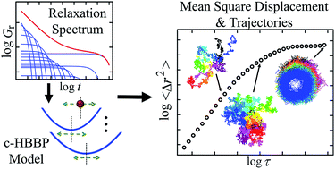 Graphical abstract: Trajectories of probe spheres in generalized linear viscoelastic complex fluids