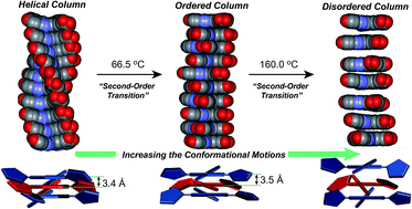 Graphical abstract: Sequential phase transformation of propeller-like C3-symmetric liquid crystals from a helical to ordered to disordered hexagonal columnar structure