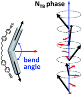 Graphical abstract: Molecular geometry, twist-bend nematic phase and unconventional elasticity: a generalised Maier–Saupe theory