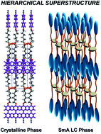 Graphical abstract: Hierarchical superstructures from a star-shaped molecule consisting of a cyclic oligosiloxane with cyanobiphenyl moieties