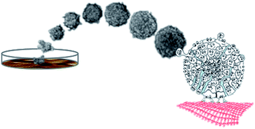 Graphical abstract: 2D protein arrays induce 3D in vivo-like assemblies of cells