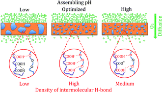 Graphical abstract: Structural tailoring of hydrogen-bonded poly(acrylic acid)/poly(ethylene oxide) multilayer thin films for reduced gas permeability
