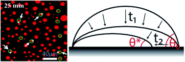 Graphical abstract: Mixed mode of dissolving immersed nanodroplets at a solid–water interface