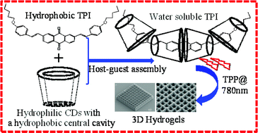 Graphical abstract: A water soluble initiator prepared through host–guest chemical interaction for microfabrication of 3D hydrogels via two-photon polymerization