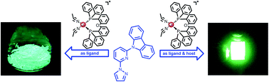 Graphical abstract: Highly efficient cuprous complexes with thermally activated delayed fluorescence and simplified solution process OLEDs using the ligand as host