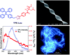 Graphical abstract: Aggregation-induced chirality, circularly polarized luminescence, and helical self-assembly of a leucine-containing AIE luminogen