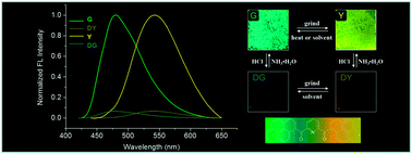 Graphical abstract: Bis-pyrene based reversibly multi-responsive fluorescence switches