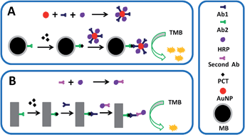 Graphical abstract: An ultrasensitive ELISA method for the detection of procalcitonin based on magnetic beads and enzyme-antibody labeled gold nanoparticles