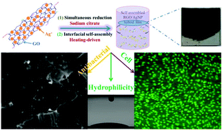 Simultaneous reduction and thermal evaporation-driven self assembly fabrication method used to create RGO/AgNP hybrid film