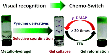 Graphical abstract: The electronic effects of ligands on metal-coordination geometry: a key role in the visual discrimination of dimethylaminopyridine and its application towards chemo-switch
