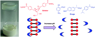 Graphical abstract: Self-assembled sorbitol-derived supramolecular hydrogels for the controlled encapsulation and release of active pharmaceutical ingredients