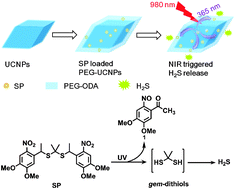 Graphical abstract: NIR light controlled release of caged hydrogen sulfide based on upconversion nanoparticles