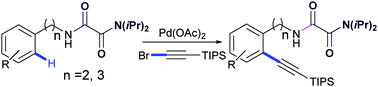 Graphical abstract: Palladium-catalyzed oxalyl amide assisted direct ortho-alkynylation of arylalkylamine derivatives at δ and ε positions